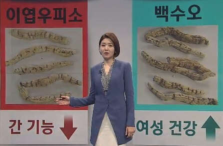 사진=SBS 뉴스 방송영상 캡처